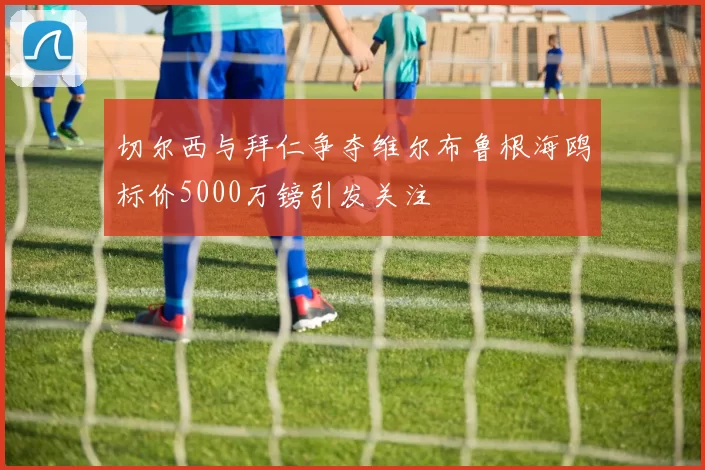 切尔西与拜仁争夺维尔布鲁根海鸥标价5000万镑引发关注